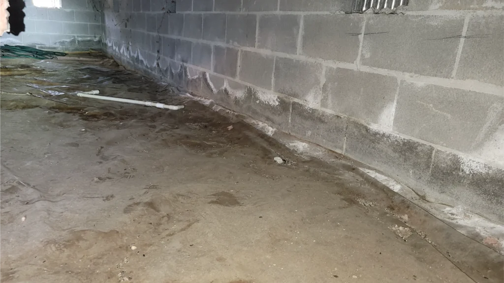 Top 5 Signs Your Crawl Space Is Hurting Your Home’s Air Quality