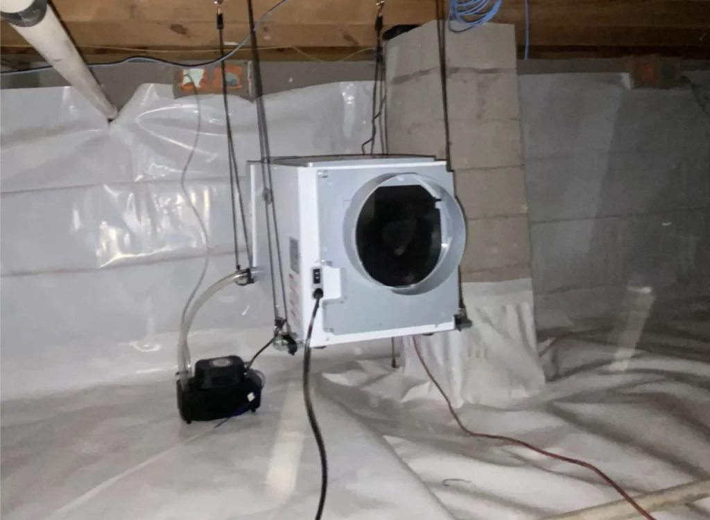 Do I Really Need a Dehumidifier in My Crawl Space?